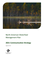 2021 Comms Strategy Cover