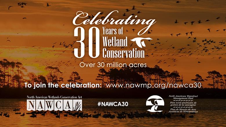 Ducks Unlimited celebrates 2023 World Wetlands Day – Mid-South Hunting &  Fishing News