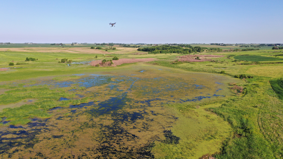 Flying drone to monitor wetland on agriculture land in Iowa