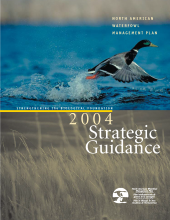 2004 Strategic Guidance