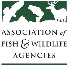 AFWA Logo