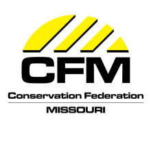 CFM logo