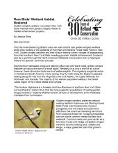 Rare Birds Article