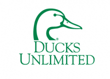 Ducks Unlimited Logo