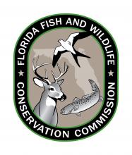 FLWCC logo