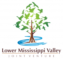 LMVJV logo